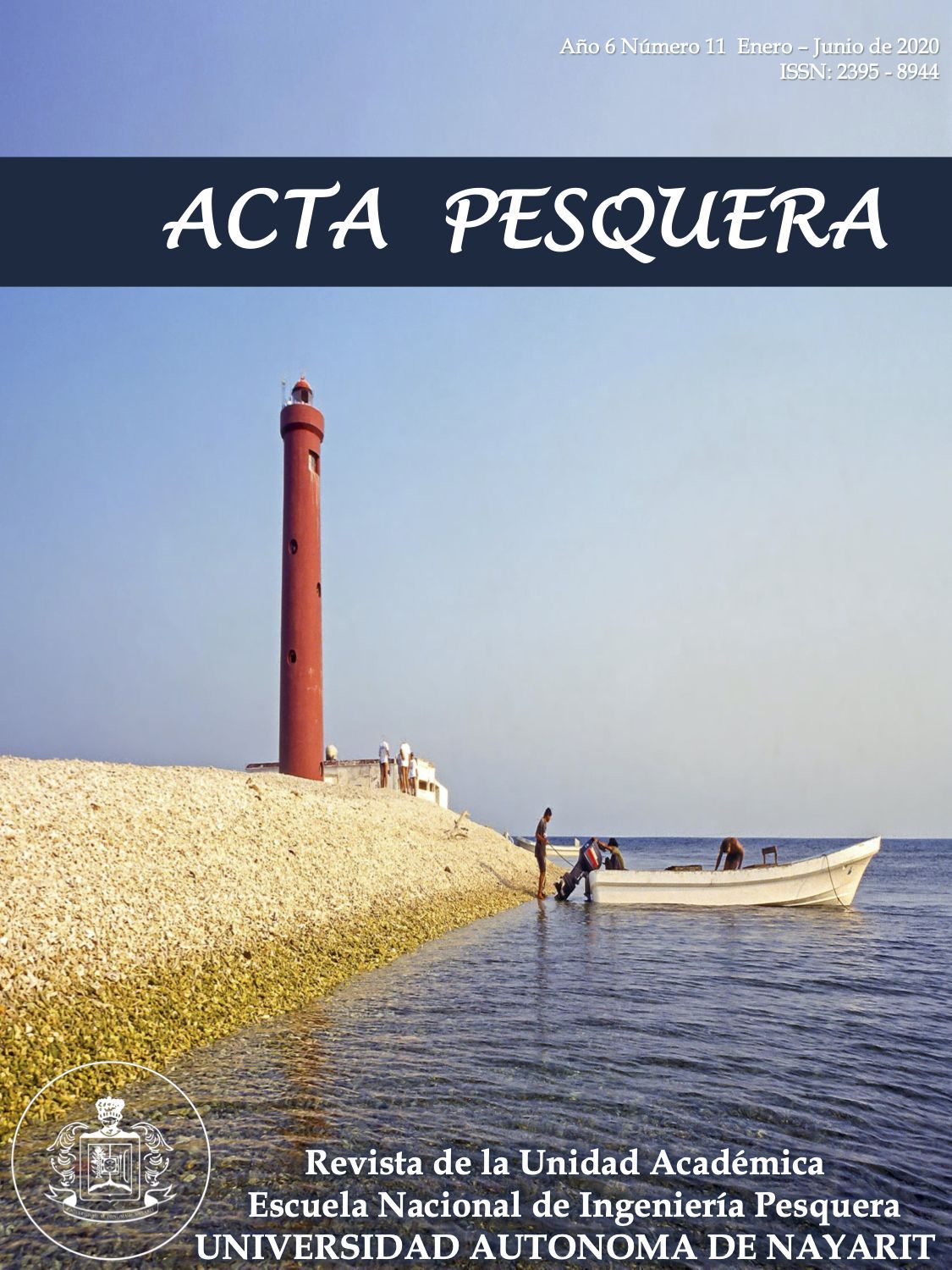 A11